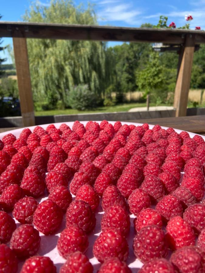 Pivoine Chambre D Hotes Fralignes Zewnętrze zdjęcie