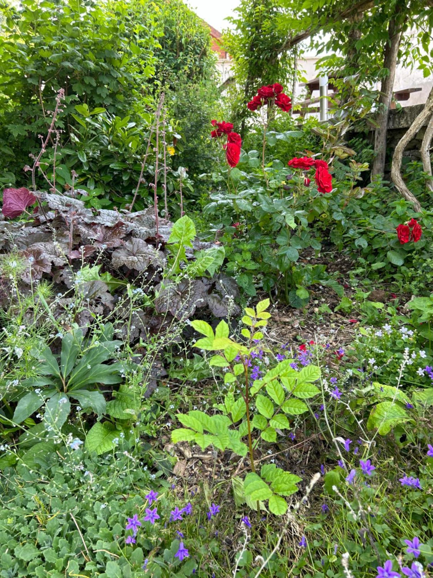 Pivoine Chambre D Hotes Fralignes Zewnętrze zdjęcie