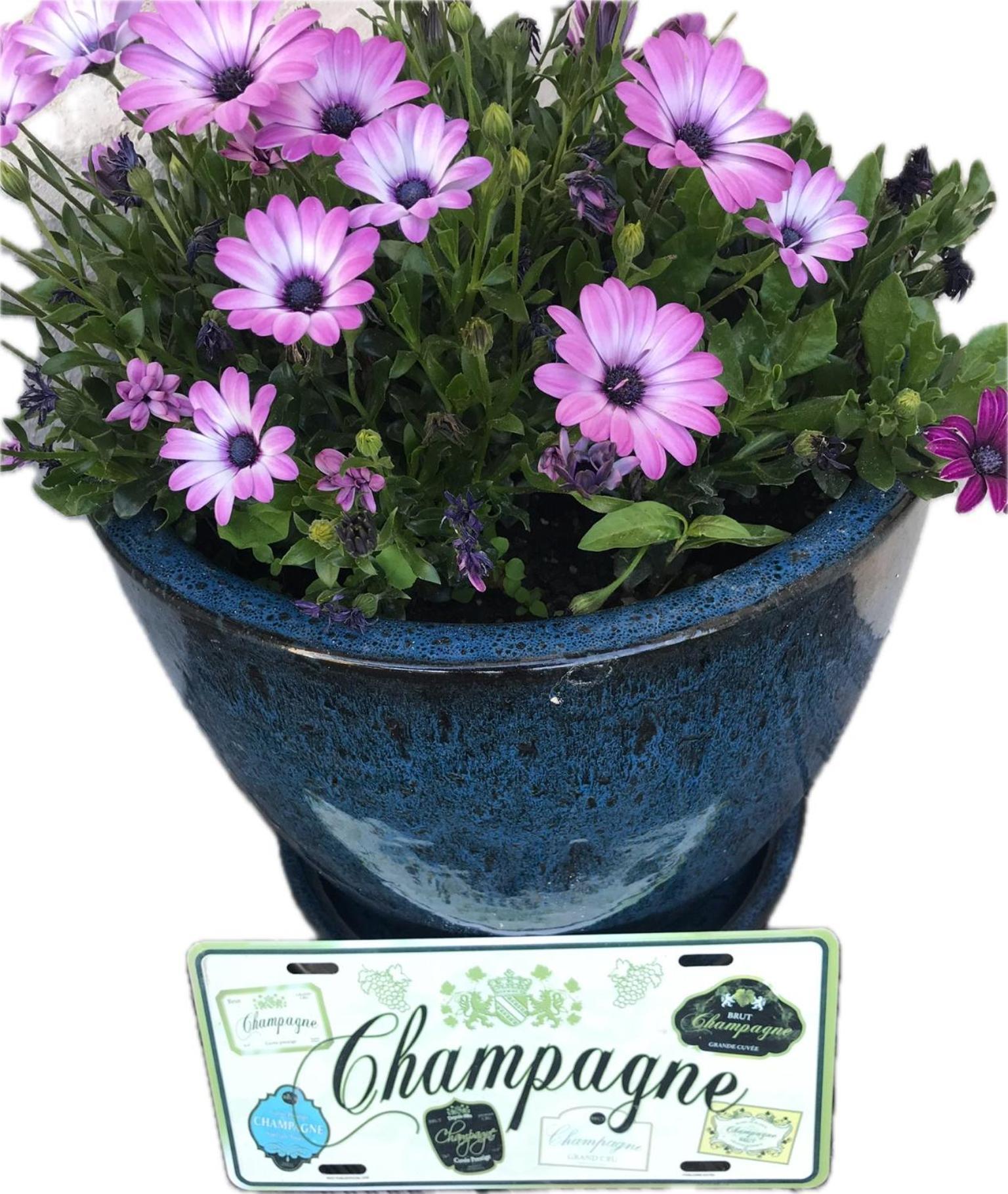 Pivoine Chambre D Hotes Fralignes Zewnętrze zdjęcie