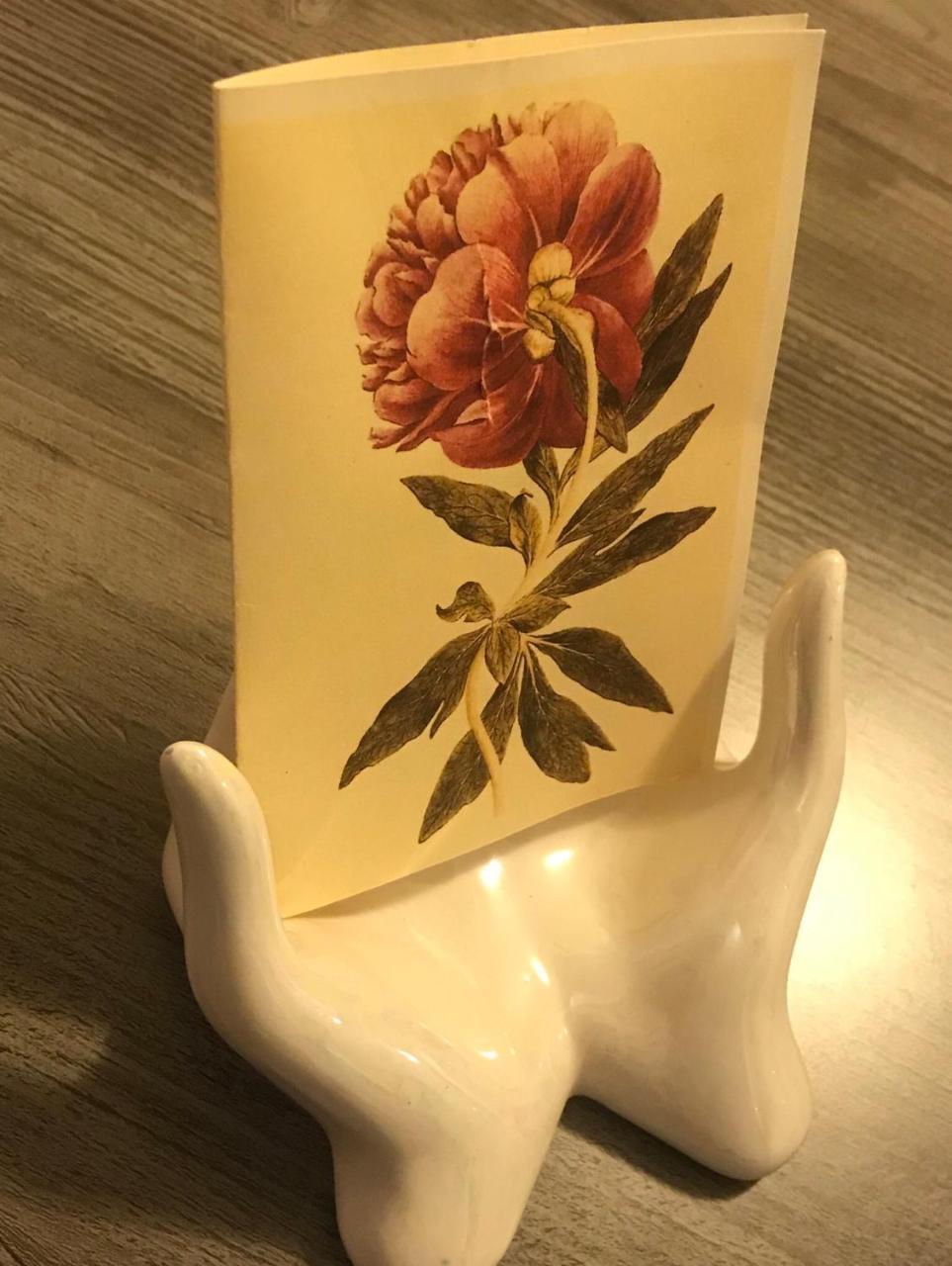 Pivoine Chambre D Hotes Fralignes Zewnętrze zdjęcie